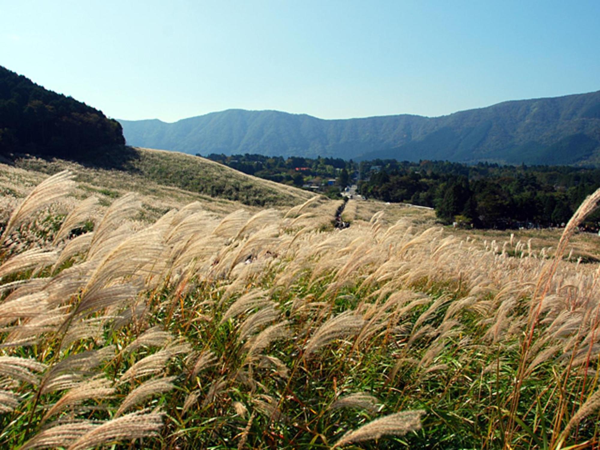 Hotel Morinokaze Hakone Sengokuhara Εξωτερικό φωτογραφία