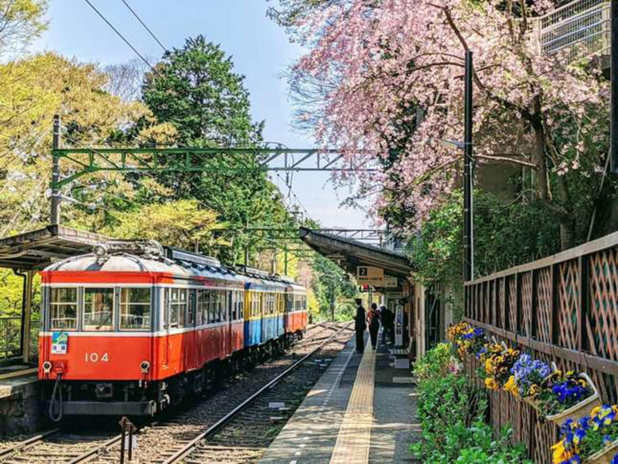 Hotel Morinokaze Hakone Sengokuhara Εξωτερικό φωτογραφία
