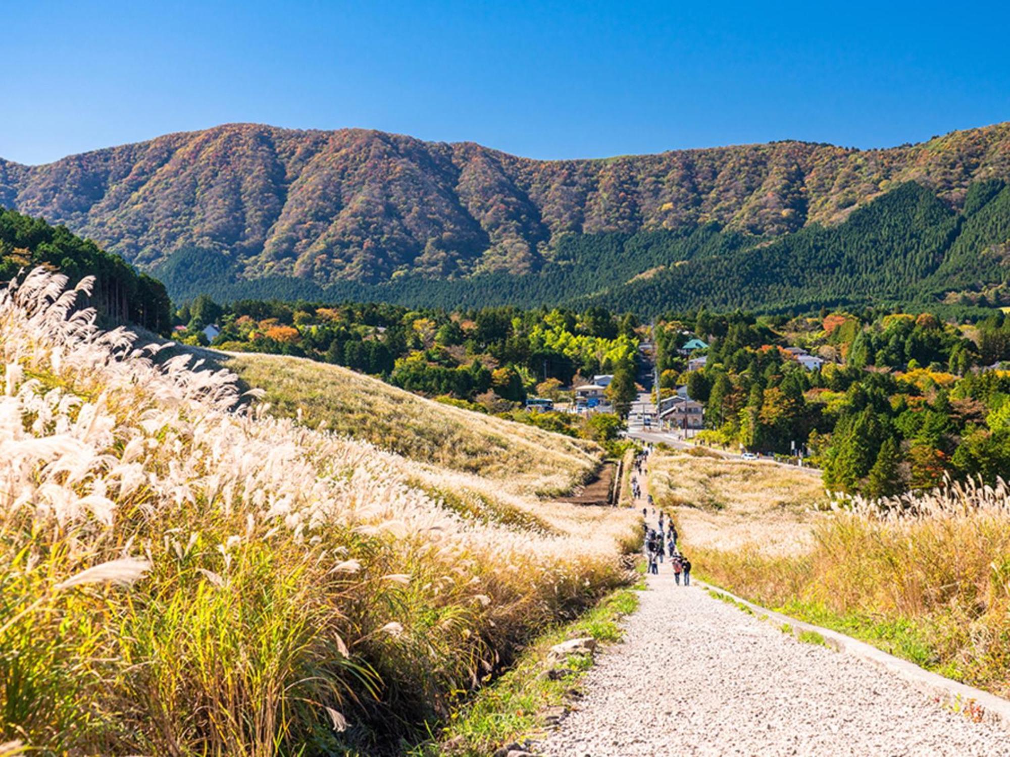 Hotel Morinokaze Hakone Sengokuhara Εξωτερικό φωτογραφία